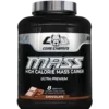 CORE CHAMP MASS - 6LB