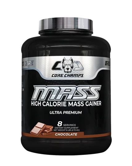 CORE CHAMP MASS - 6LB